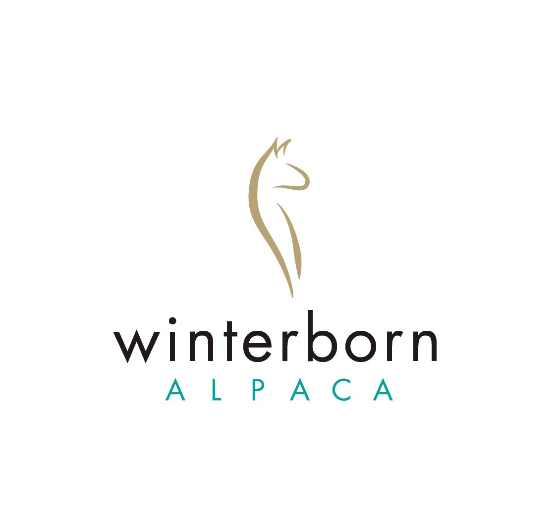 WinterbornAlpaca